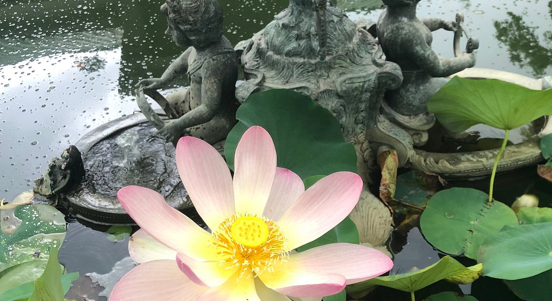 Houmas House Plantation and Gardens, Darrow, Louisiana