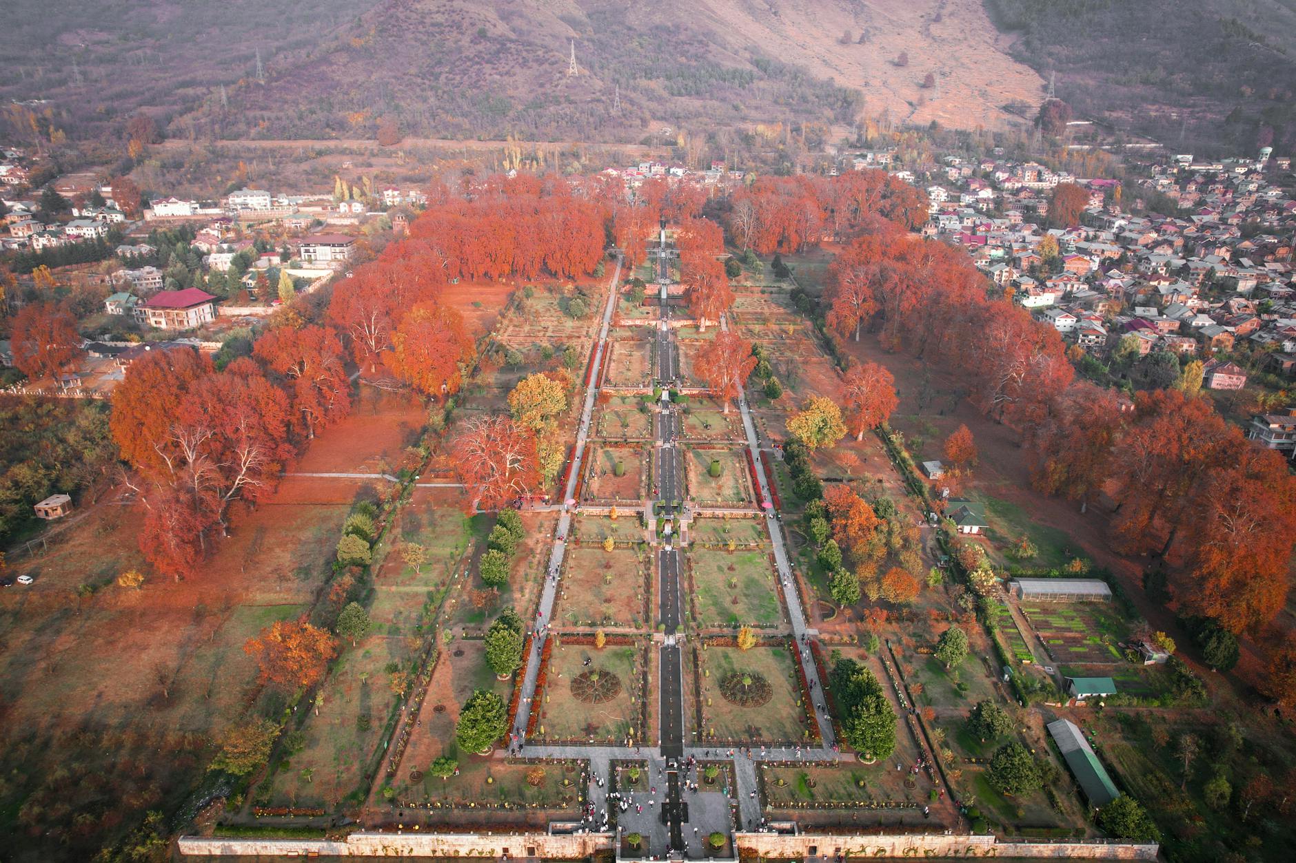 aerial view of a park in a town